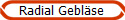 Radial Gebl�se